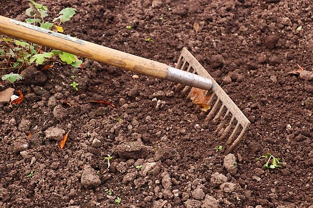 Création de mon premier jardin