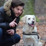 Comment apprendre la marche au pied sans laisse à son chien