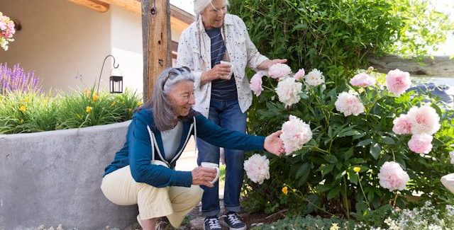 jardinage seniors