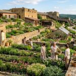 Herbes Naturopathie